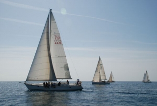 barcos de vela